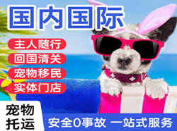永兴空运公司国际宠物托运 【国